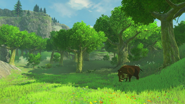 Zelda Breath of the wild