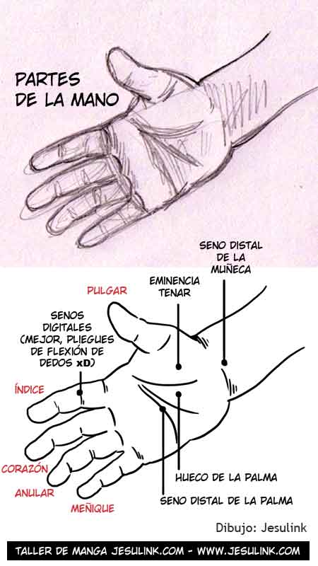 Cómo dibujar manos - Jesulink.com